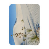 Transverse Dunes, Yucca, Schatten Magnet (Vertikal)