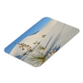 Transverse Dunes, Yucca, Schatten Magnet (Linke Seite)