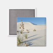 Transverse Dunes, Yucca, Schatten Magnet (Vorderseite/Rückseite)
