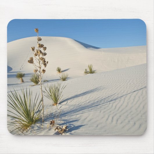 Transverse Dunes, Yucca, Schatten Mousepad (Vorne)