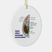 Transverse Sektion des menschlichen Embryos 9 Woch Keramik Ornament (Rechts)