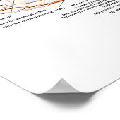 Transverser Abschnitt des Gehirns Poster (Ecke)