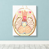 Transverser Abschnitt des mittleren Gehirns Leinwanddruck (Insitu (Holzboden))