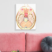 Transverser Abschnitt des mittleren Gehirns Leinwanddruck (Insitu (Wohnzimmer))