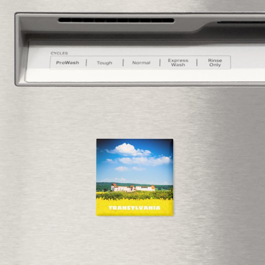 Transylvania Magnet (In Situ (Geschirrspüler))