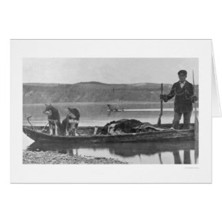 Trapper mit Hides & Dogs Alaska 1906