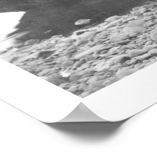 Trapper with Hides & Dogs Alaska 1906 Poster (Ecke)