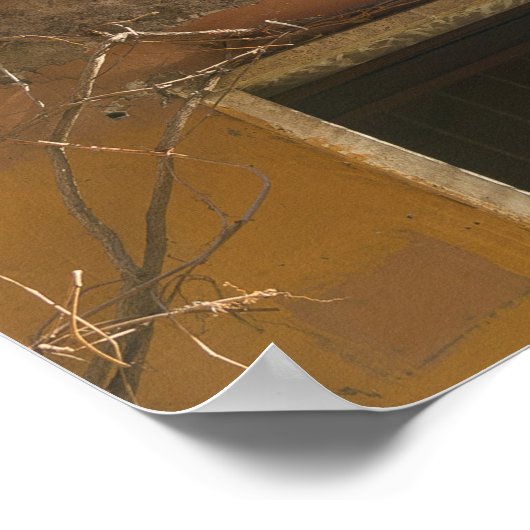 Trastevere Rome Poster (Ecke)