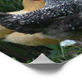 Tratsch um das Wasser Cooler Poster (Ecke)