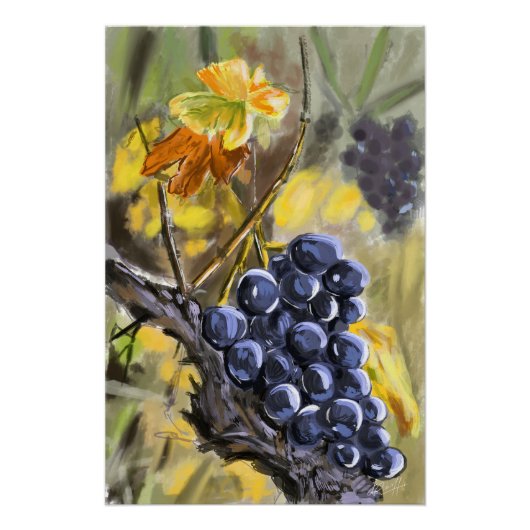 Trauben am Weinstock, Provence. Poster (Vorderseite)