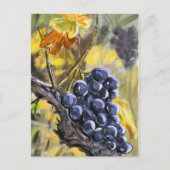 Trauben am Weinstock, Provence. Postkarte (Vorderseite)