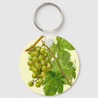 Trauben auf dem botanisch Zeichnend Weinberg Schlü Schlüsselanhänger