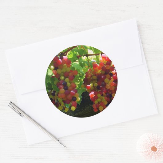 Trauben auf einem Aufkleber (Umschlag)