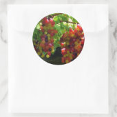 Trauben auf einem Aufkleber (Tasche)