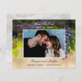 Trauben auf Rebflächen Foto Save the Date Karte (Vorne/Hinten)