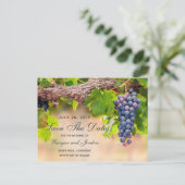 Trauben auf Rebflächen Save the Date Karte (Stehend Vorderseite)
