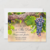 Trauben auf Rebflächen Save the Date Karte (Vorderseite)