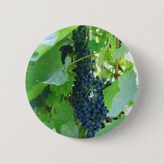 Trauben Button (Vorderseite)
