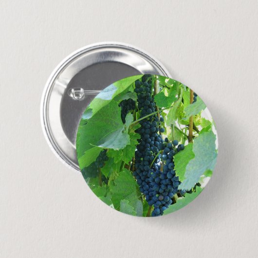Trauben Button (Vorne & Hinten)