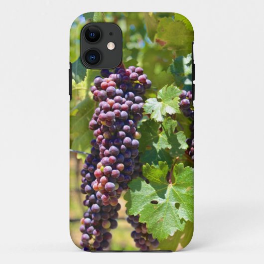 Trauben Case-Mate iPhone Hülle (Rückseite)