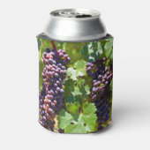 Trauben Dosenkühler (Kanne Rückseite)