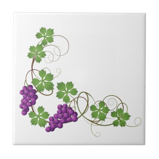 Trauben Druckfolie Fliese (Vorderseite)