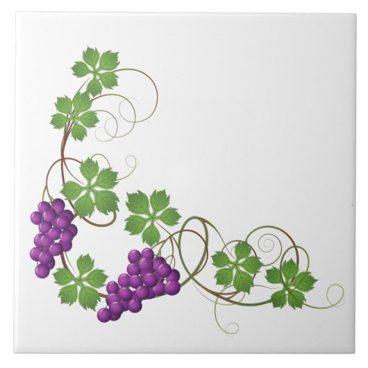 Trauben Druckfolie Fliese (Vorderseite)
