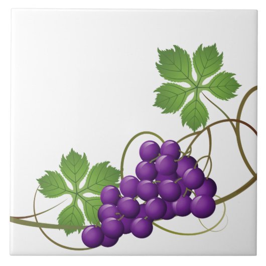 Trauben Druckfolie Fliese (Vorderseite)