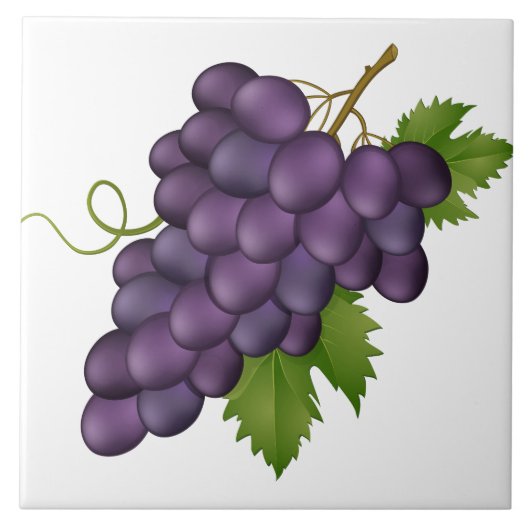 Trauben Druckfolie Fliese (Vorderseite)