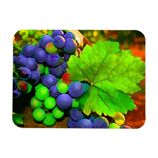 Trauben ernten magnet (Horizontal)