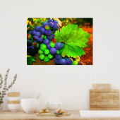 Trauben ernten poster (Küche)