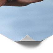 Trauben/Feinschmecker-Küchenplakat Poster (Ecke)