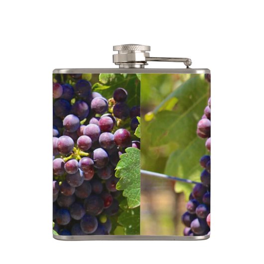 Trauben Flachmann (Rückseite)