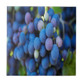 Trauben Fliese (Vorderseite)