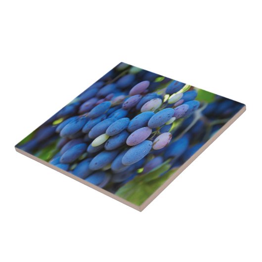 Trauben Fliese (Seite)