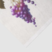 Trauben Flora Decoupage Tissue Paper Seidenpapier (Ausschnitt)