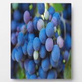 Trauben Fotoplatte (Vorderseite)