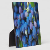 Trauben Fotoplatte (Seite)