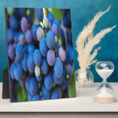 Trauben Fotoplatte (Seite)