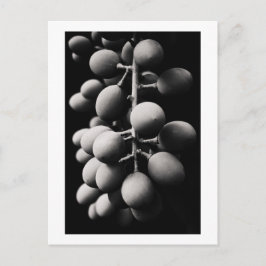 Trauben für einen gesunden Tag Postkarte