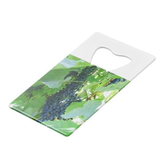 Trauben Geldbeutel Flaschenöffner (Vorderseite Schrägansicht)