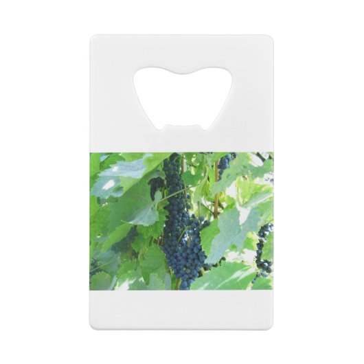 Trauben Geldbeutel Flaschenöffner (Rückseite)