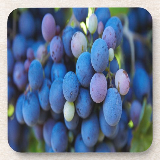 Trauben Getränkeuntersetzer (Vorderseite)