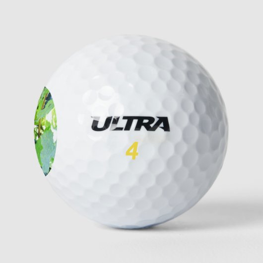 Trauben Golfball (Logo)