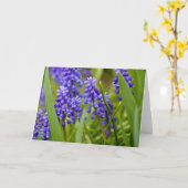 Trauben-Hyazinthe Karte (Gelbe Blume)
