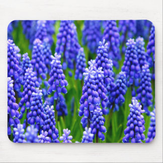 Trauben-Hyazinthen Mousepad