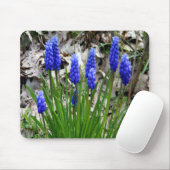 Trauben-Hyazinthen.... Mousepad (Mit Mouse)