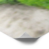 Trauben im Palast von Versailles Poster (Ecke)