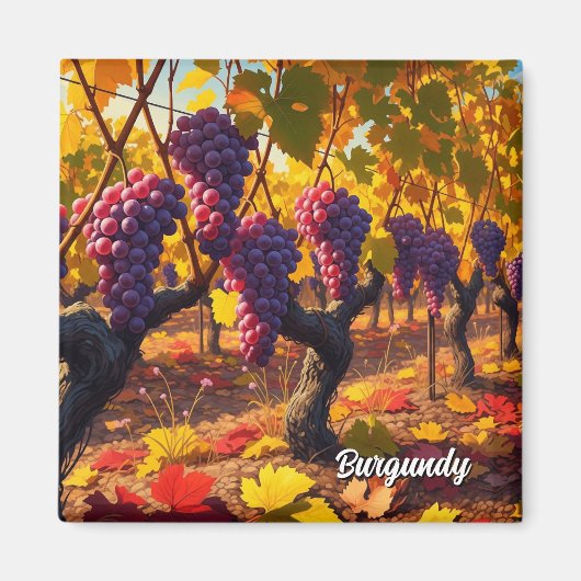 Trauben in Burgund Frankreich Reisen Magnet (Vorne)