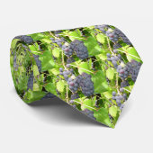 Trauben Krawatte (Gerollt)